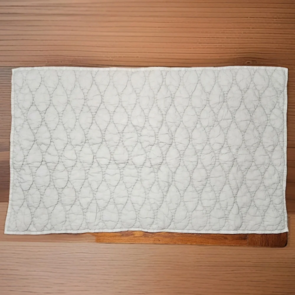 Pottery Barn Cocoon Voile Quilted King Sham Eucalyptus Sage Green (Studio Prop)